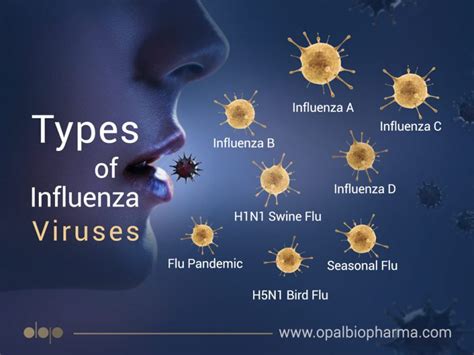 influmega|types of influenza.
